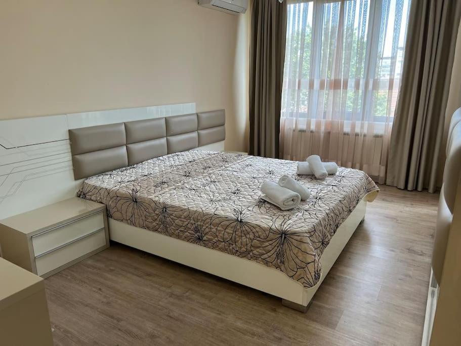 Cozy Apartment - Free Parking Plovdiv Ngoại thất bức ảnh
